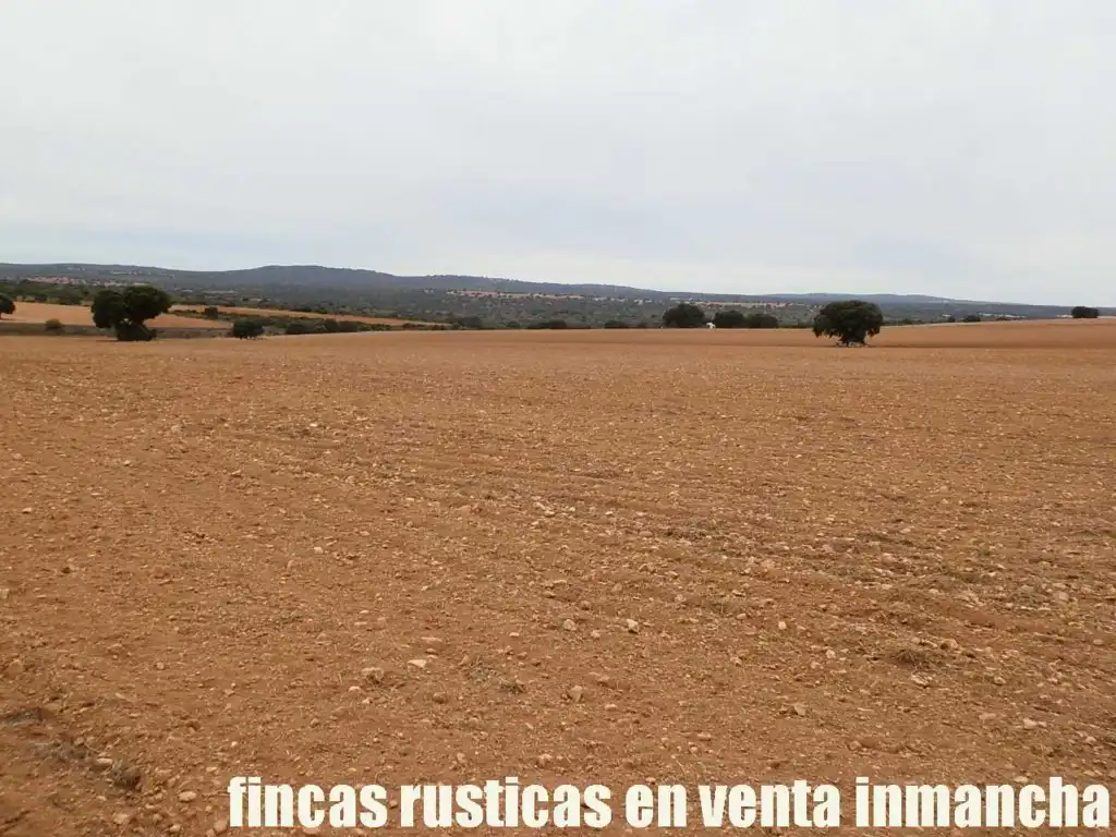 Terreny rústic en venda a Calle Albacete 10, imagen 3