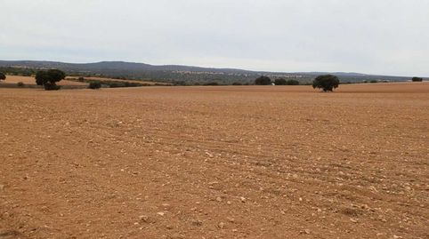Fincas inmancha 388 has. labor caza menor en Villarrobledo (Albacete), imatge 3
