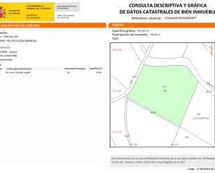 Exterior view of Land for sale in Pelayos