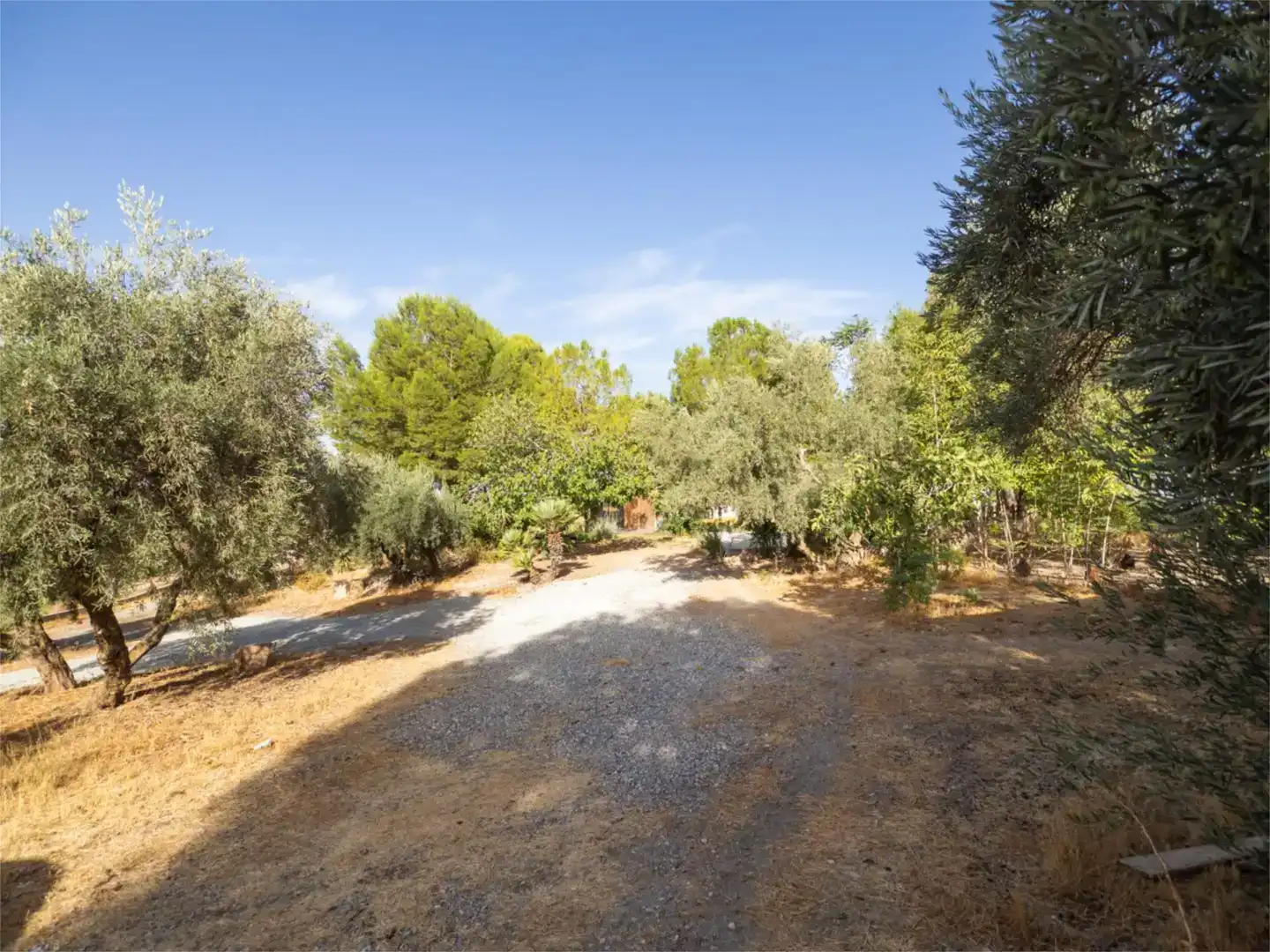 Finca rústica en venda en Alhama de Granada amb Aire condicionat i Piscina