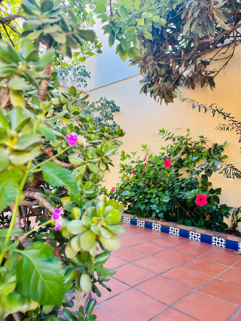 Jardín de Casa o chalet en venta en Fuengirola con Aire acondicionado, Jardín privado y Terraza