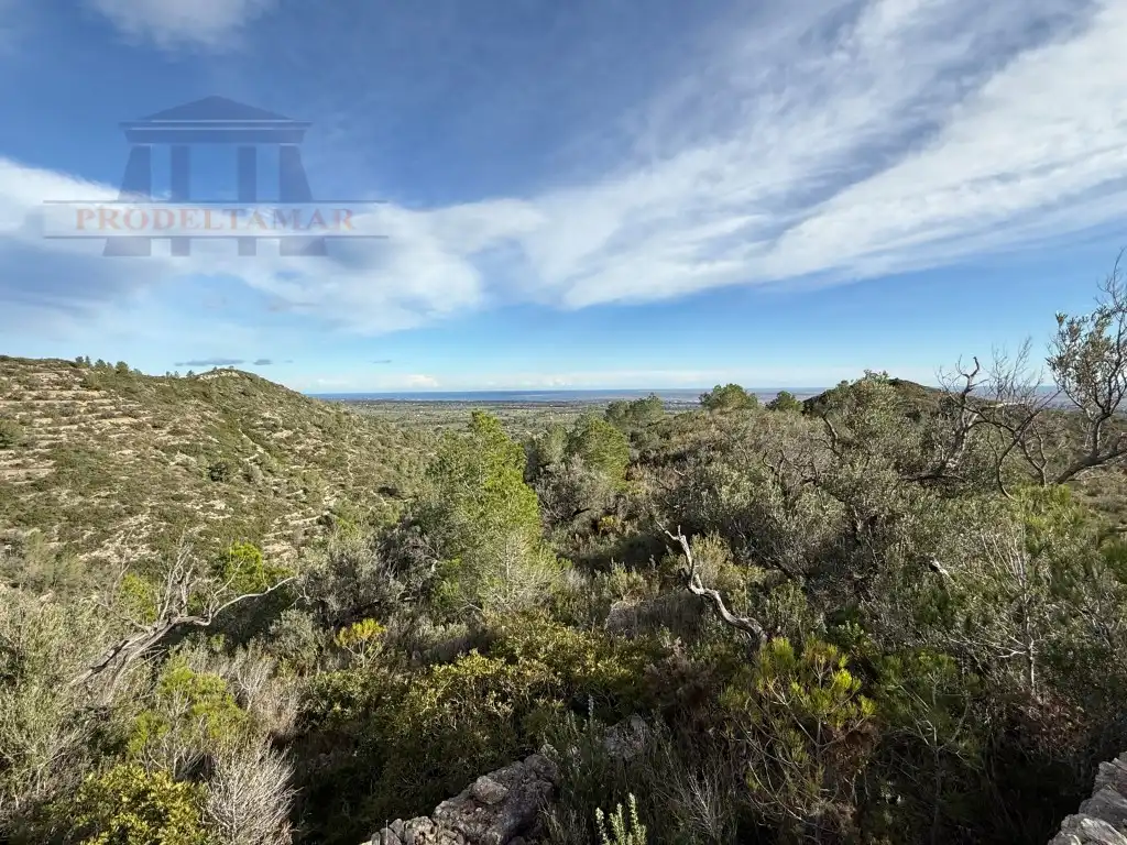 Country house for sale in Poligono 82 Paraje 6 Camp-Redo, imagen 44