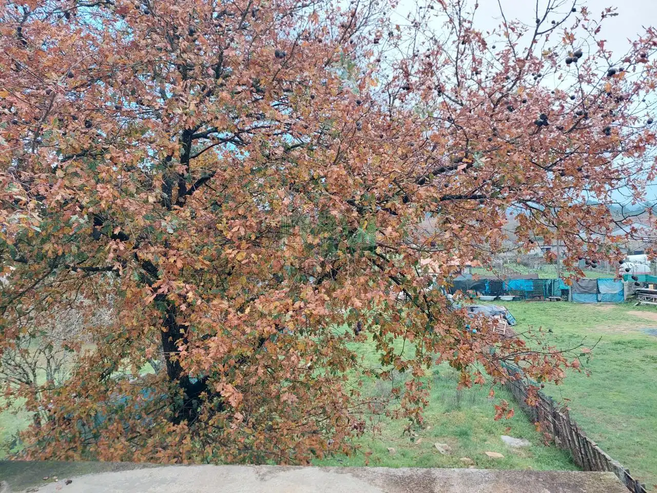 Garden of Houses for sale in Ourense Capital   with Heating and Private garden