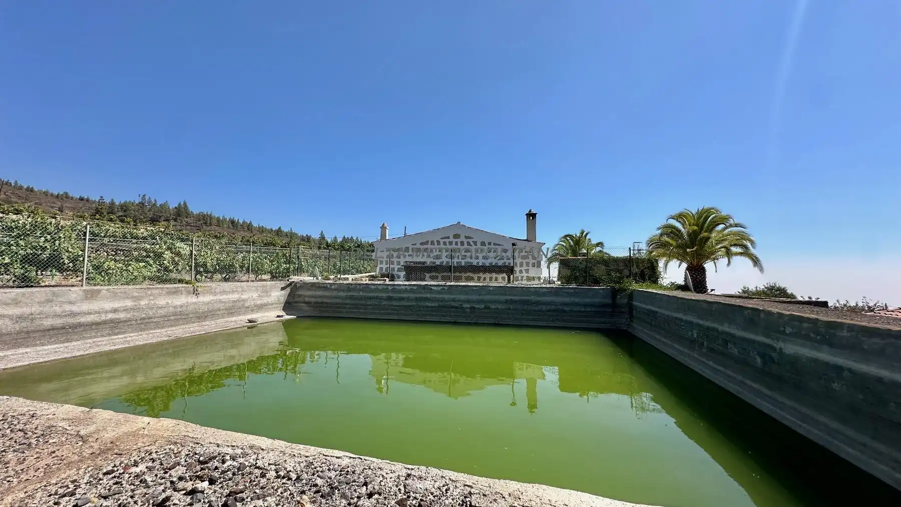 Country homes for sale in Cruz de Tea