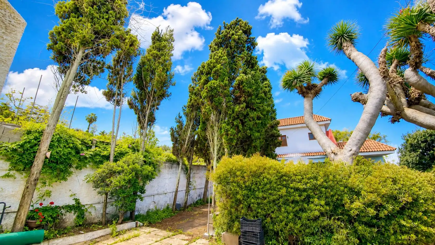 Chalet en venta en El Pris - Juan Fernández, imagen 3