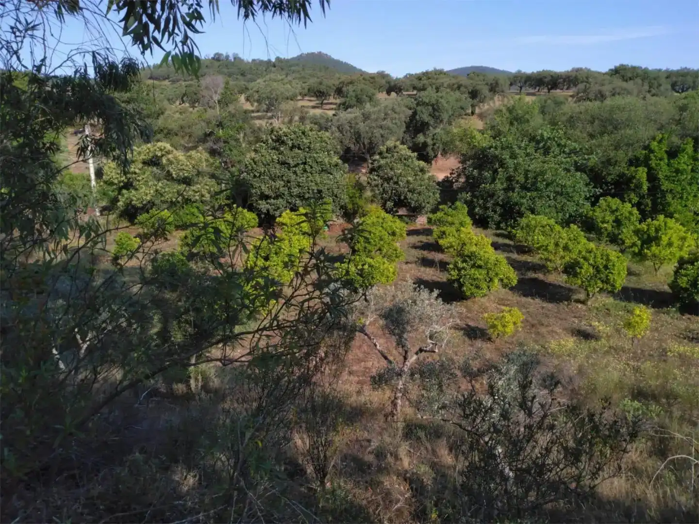 Flat for sale in La Codosera