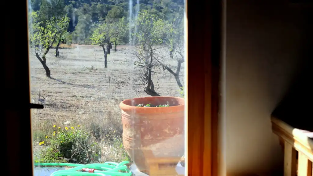 Jardí de Finca rústica en venda en Maella