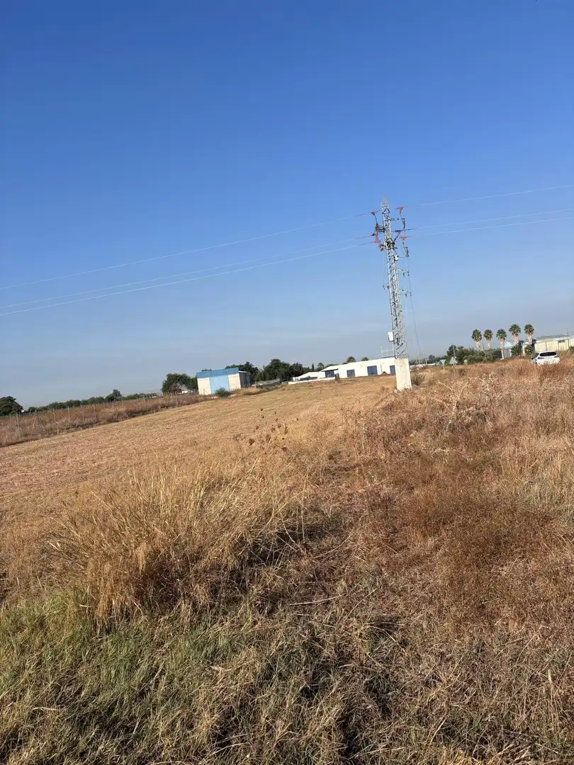 Terreny rústic en venda a Los Palacios y Villafranca, imagen 6