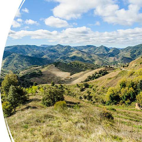 Terreno residencial en Venta en El Molar (Tarragona)