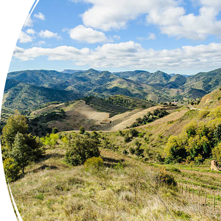 Residencial en venda a El Molar (Tarragona)