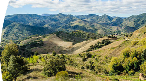 Foto 2 von Residential zum Verkauf in El Molar (Tarragona), Tarragona