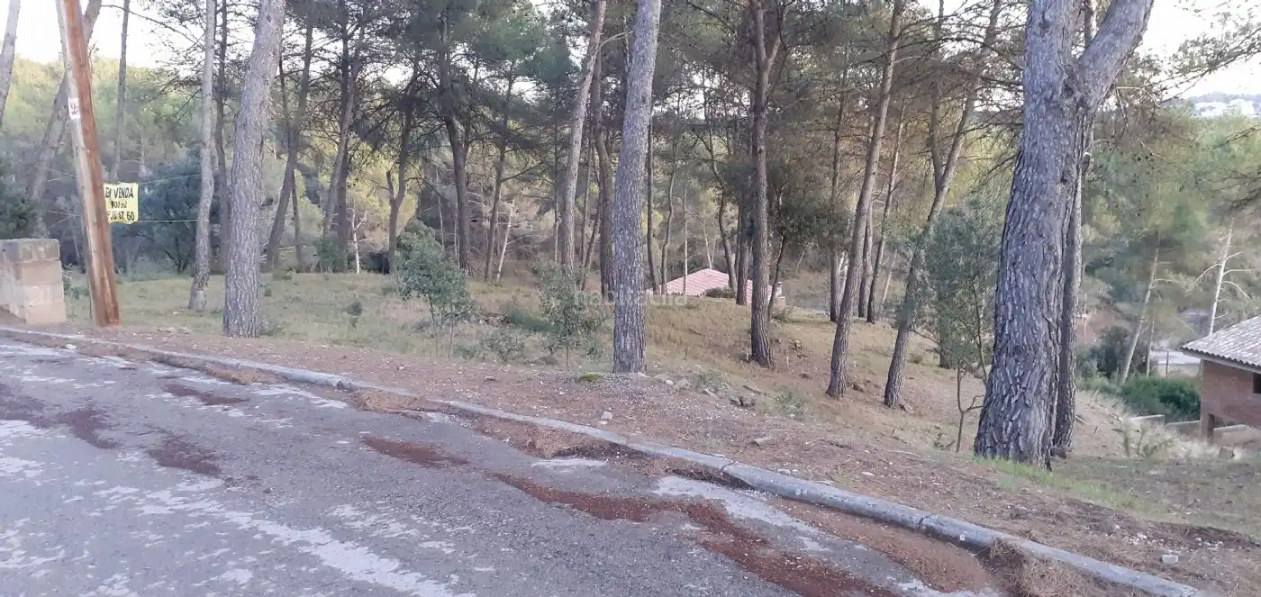 Residential land for sale in Carrer de Jacint Verdaguer 67, imagen 6