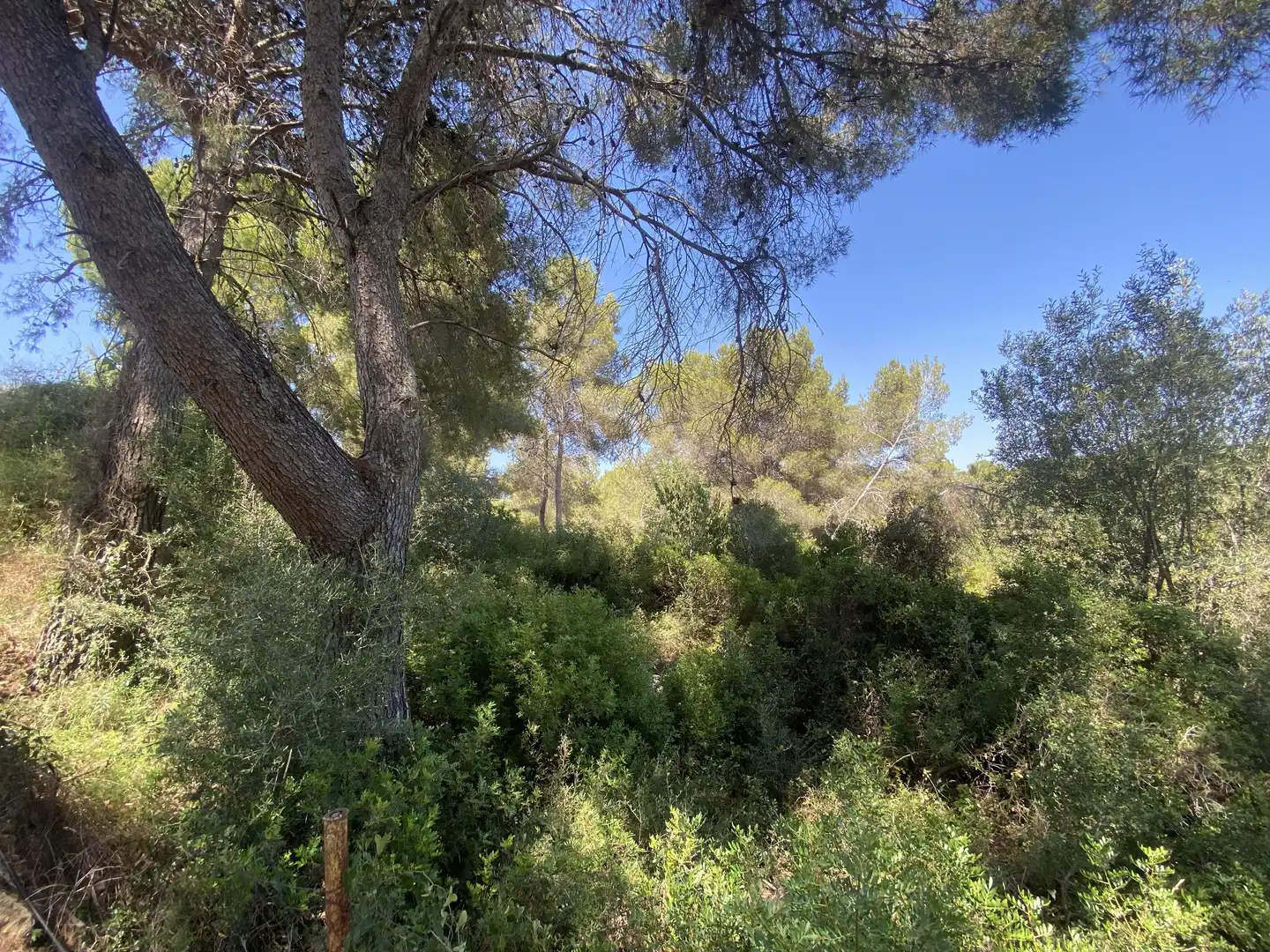 Residential land for sale in Urbanitzacions de Llevant, imagen 2