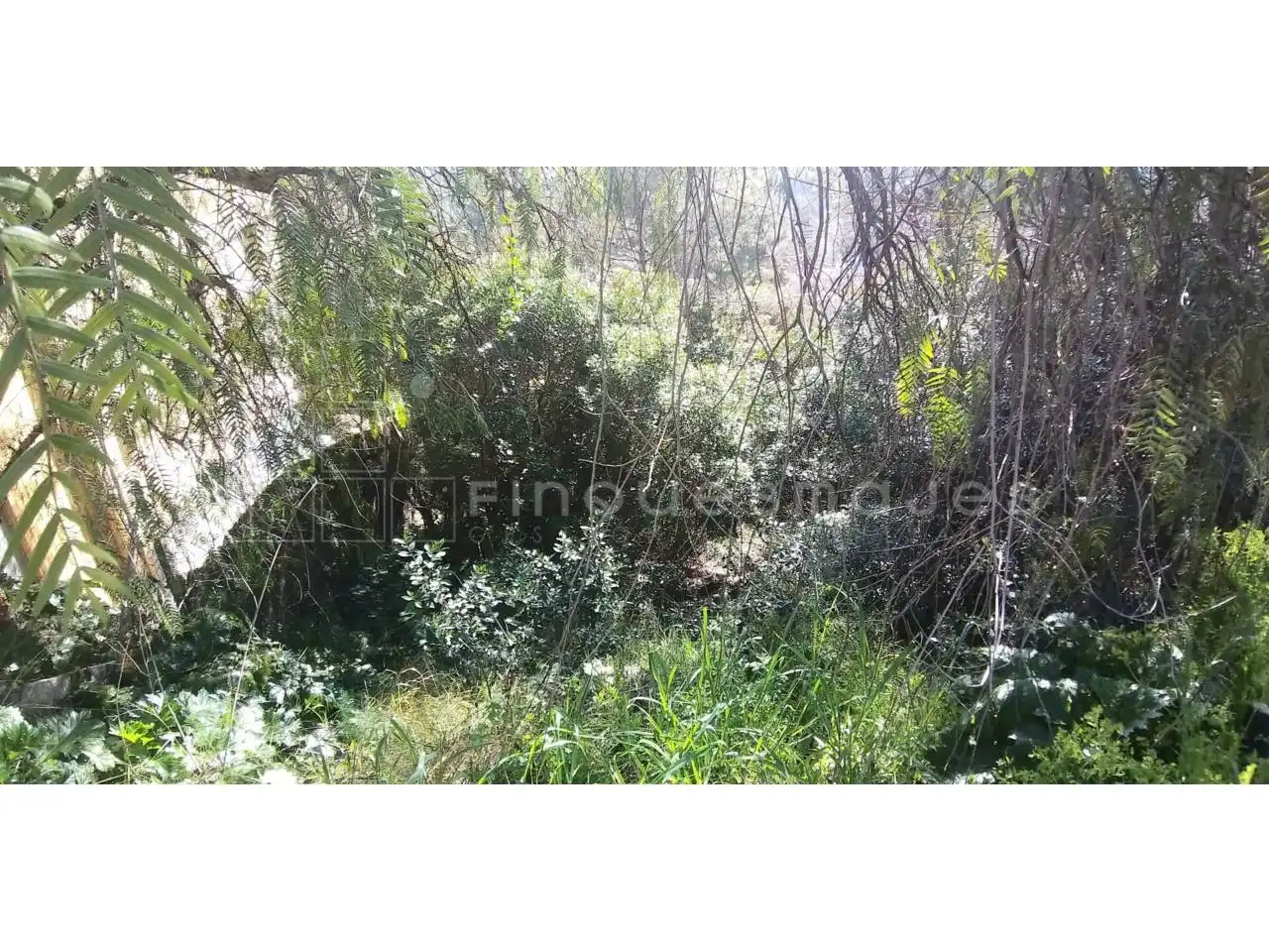 Terreno residencial en venta en Vacarisses, imagen 8