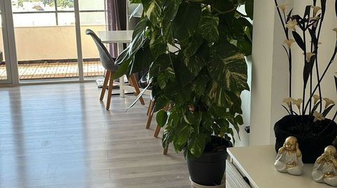 Foto 4 von Dachboden zum Verkauf in Calle D'antoni Mus, Cala Major, Palma de Mallorca