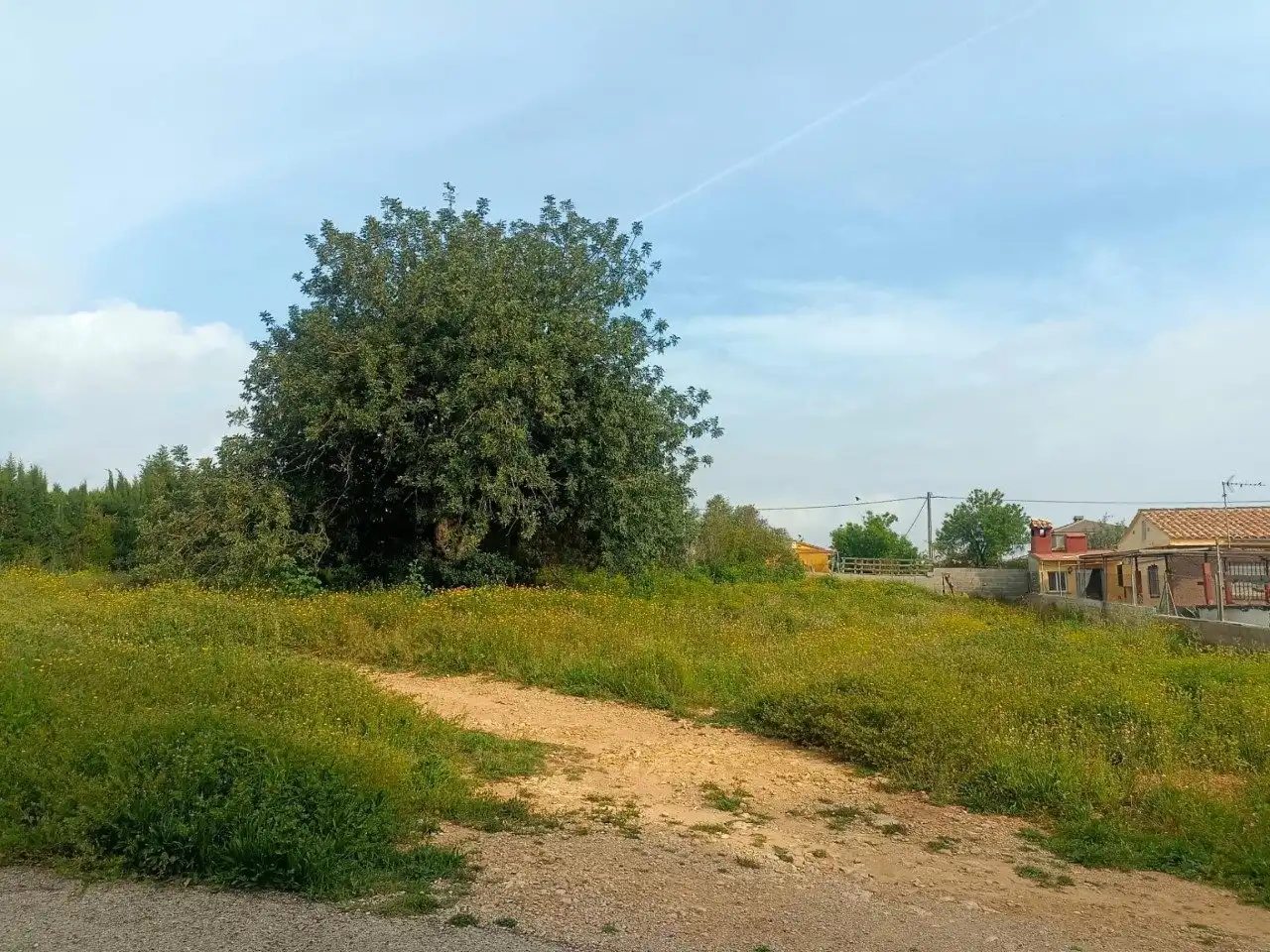 Residential land for sale in C. Charcos Secos, imagen 16