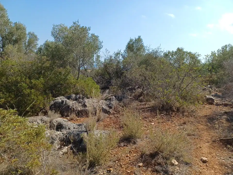 Terreno en venta en El Ràfol d'Almúnia