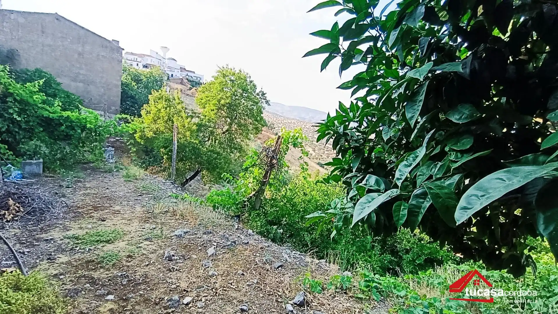 Casa o xalet en venda a Obejo