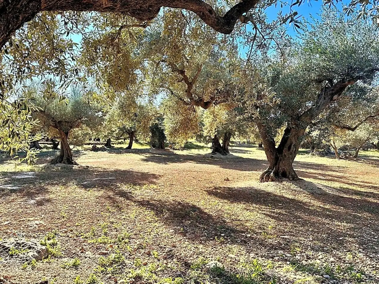 Country homes for sale in Tortosa  with Private garden