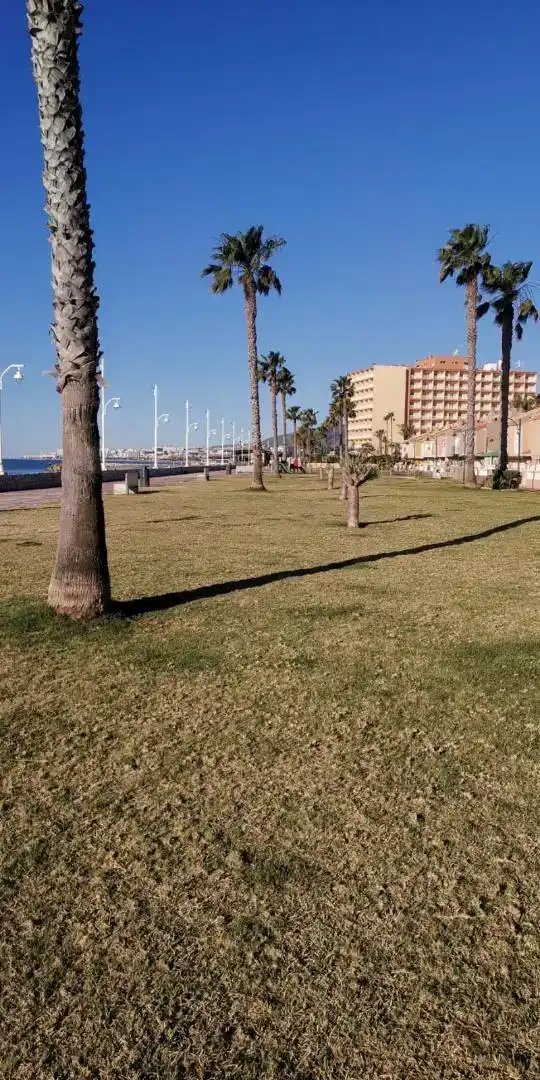 Apartamento de alquiler en Málaga con Aire acondicionado, Piscina y Amueblado