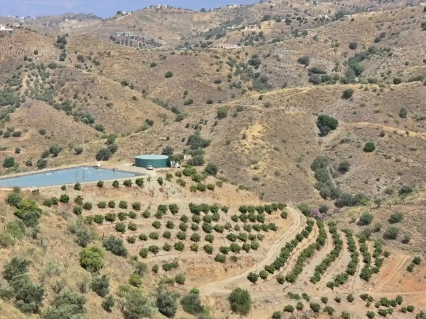 Vista exterior de Finca rústica en venda en Vélez-Málaga