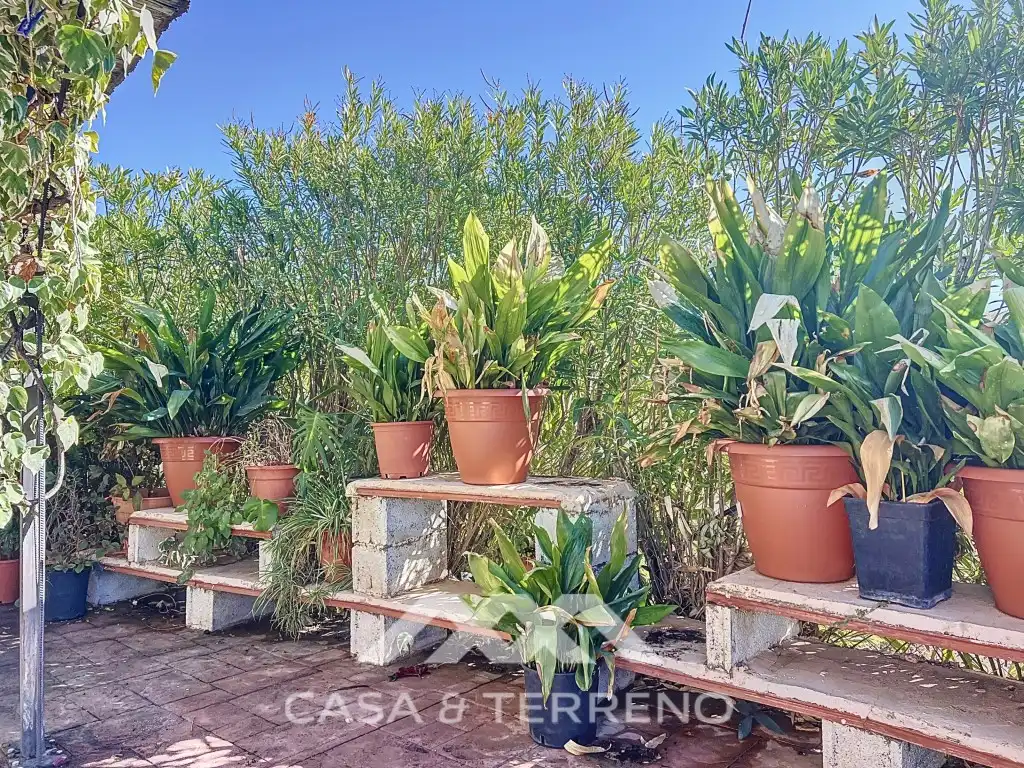 Houses for sale in Camino de Cuesta Bravo, Sedella