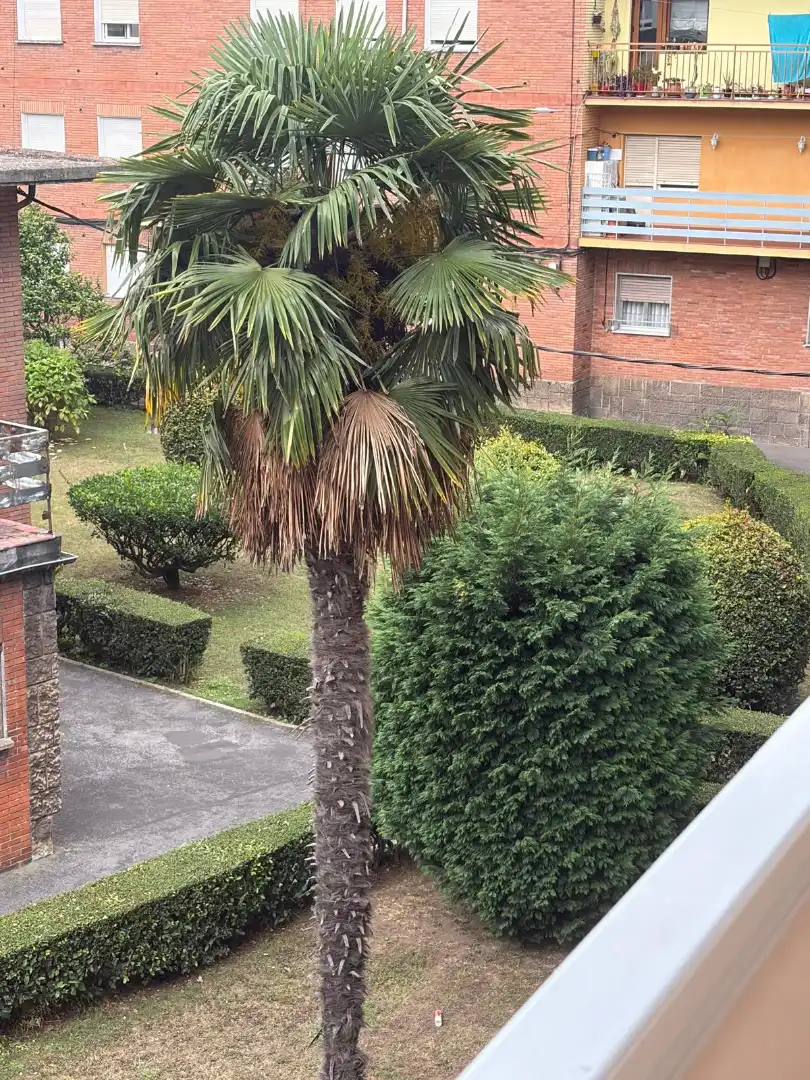 Jardí de Pis en venda en Gijón  amb Parquet, Terrassa i Moblat