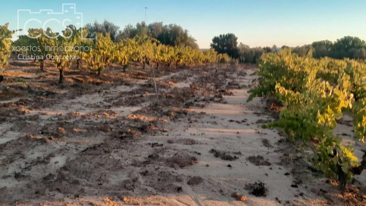 Terreno rustico in vendita a Almonte ciudad, imagen 14