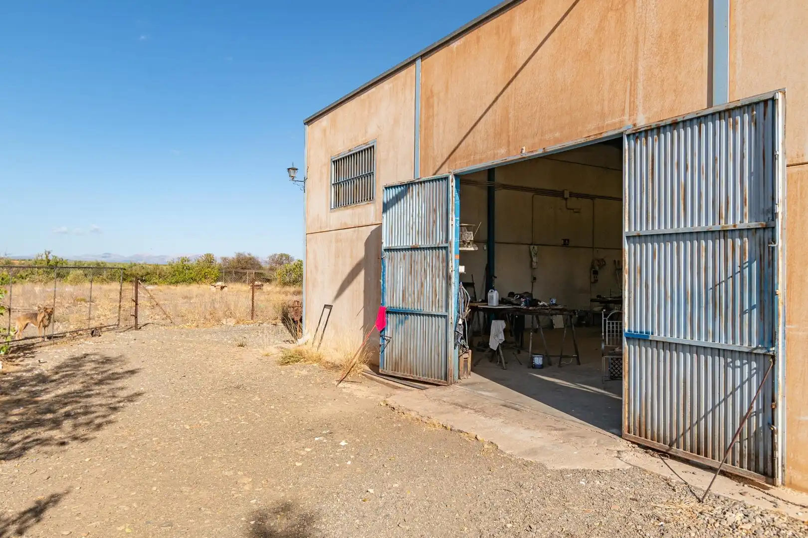 Vista exterior de Nave industrial en venta en Cogollos de Guadix