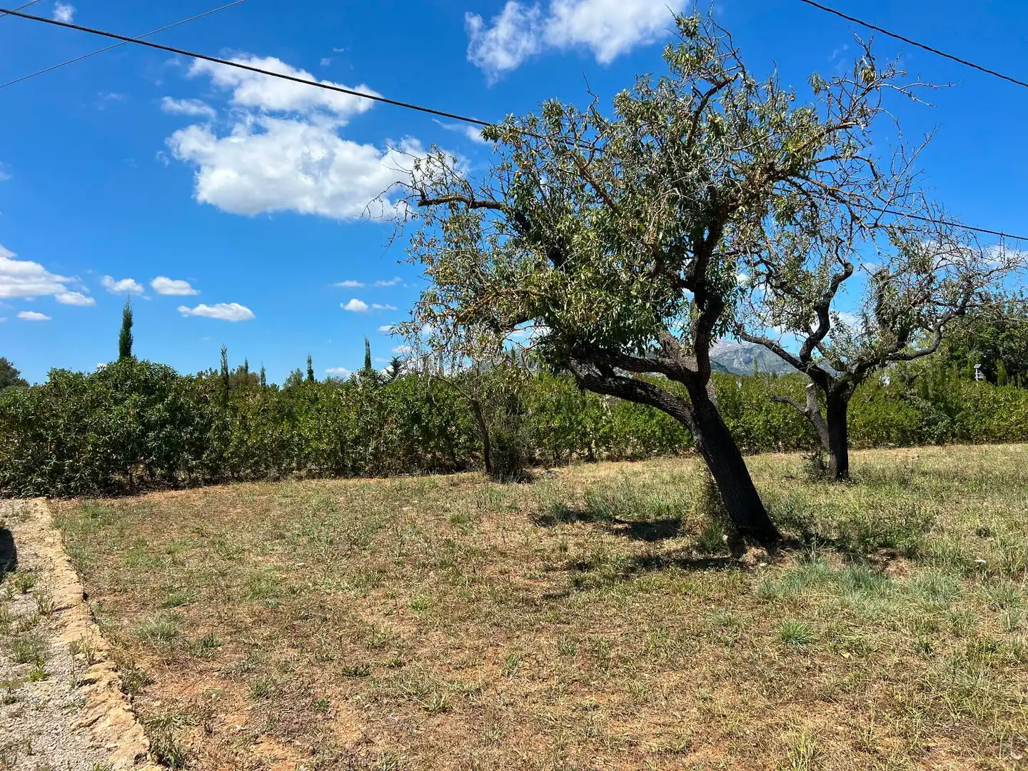 Terreno residenziale in vendita a Pollença Poble, imagen 18