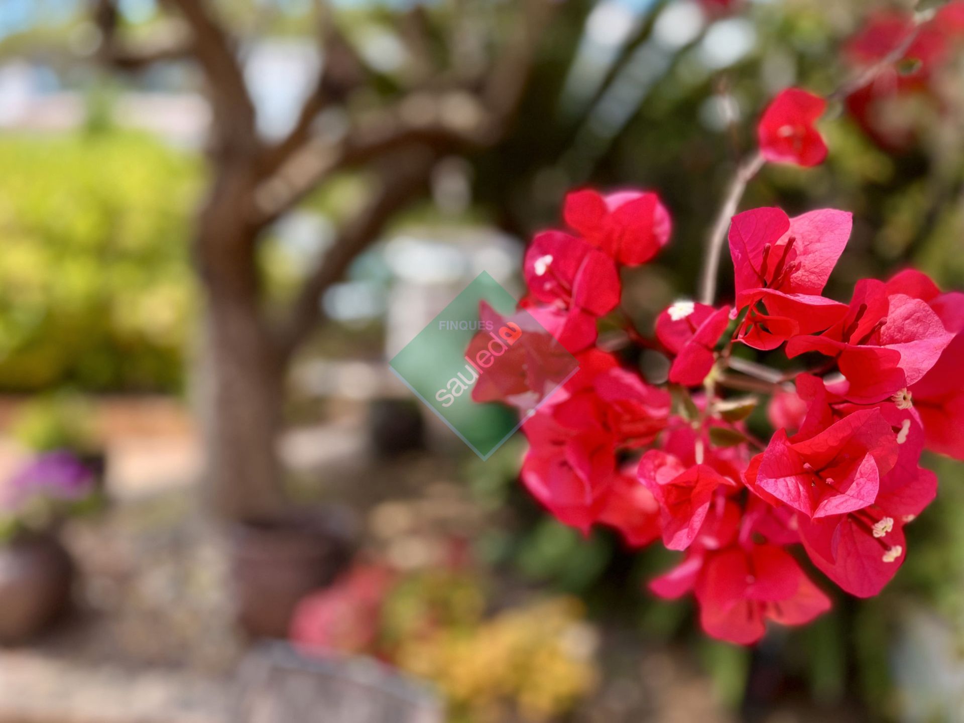 Single-family semi-detached for sale in Carrer Santiago Rusinol, Urbanitzacions, Sant Pol de Mar