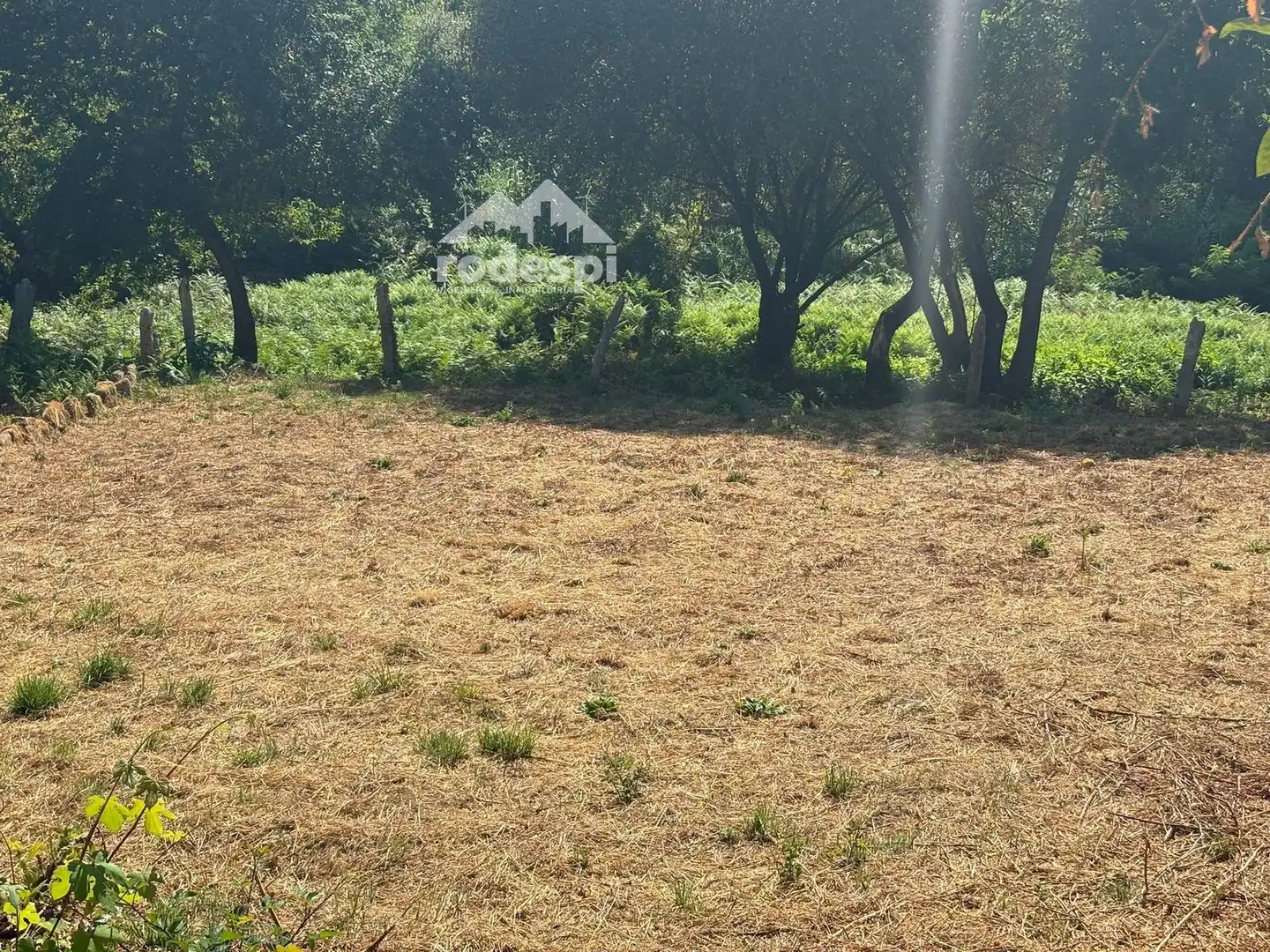 Houses for sale in Arbo