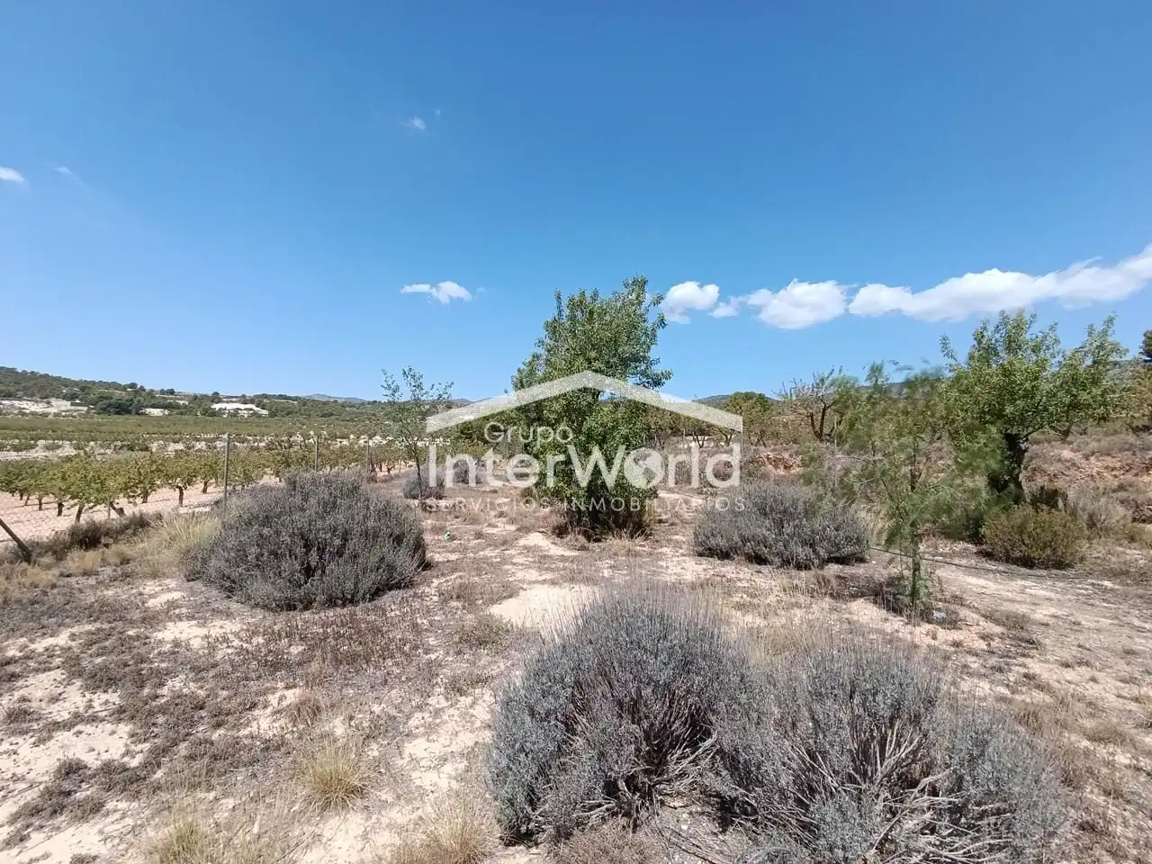 Country homes for sale in Ibi