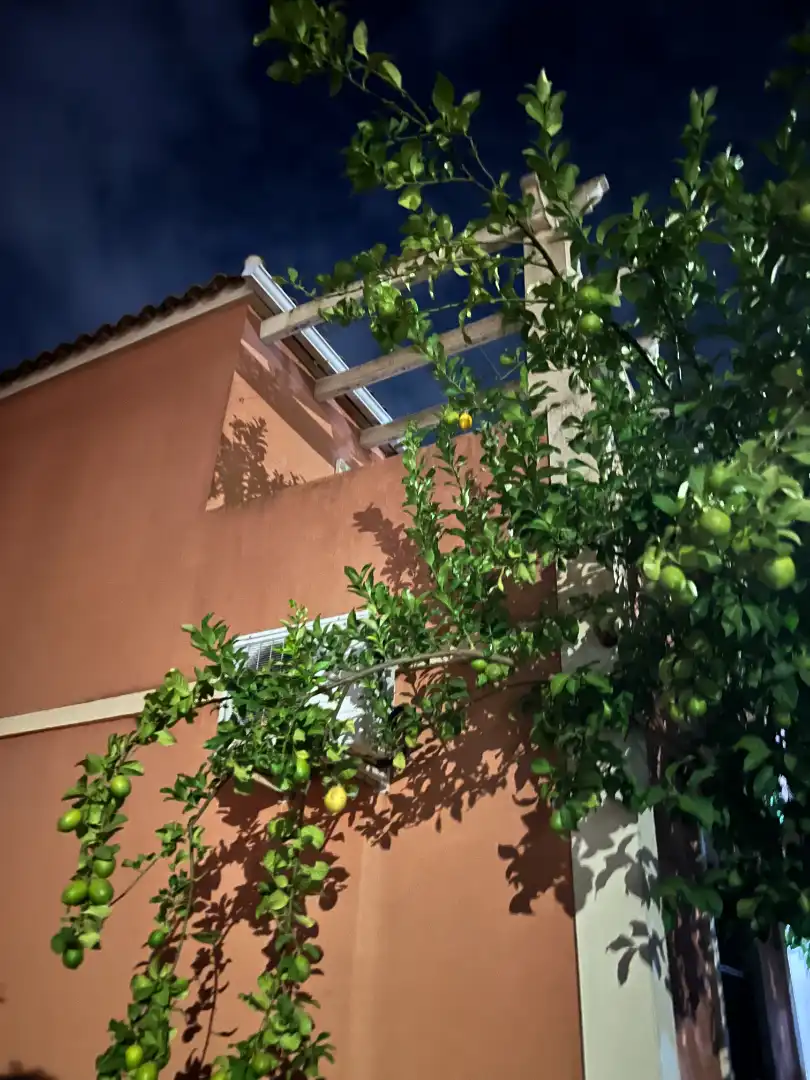 Casa de lloguer a Calle del Esturion, imagen 9