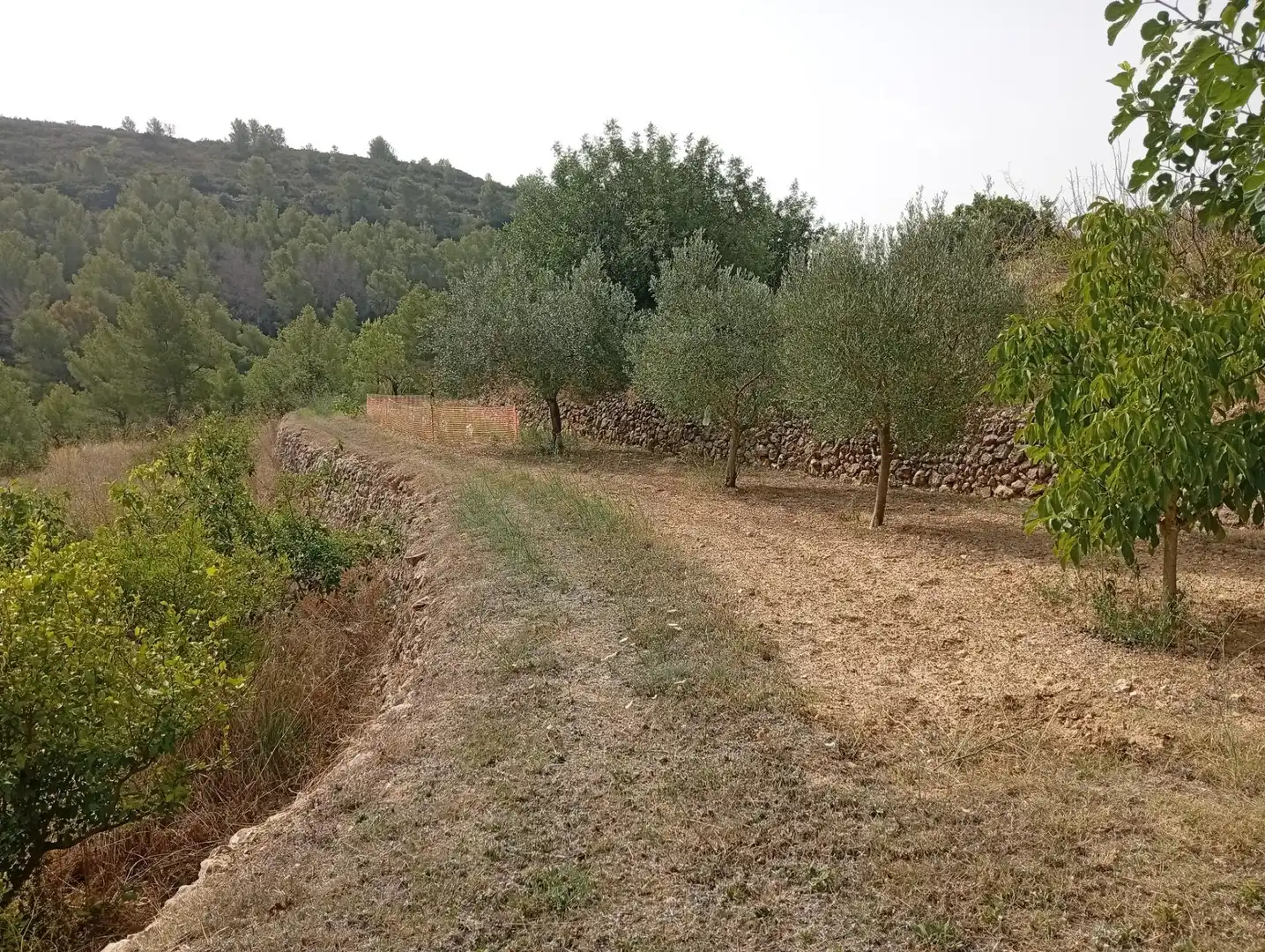 Maison avec jardin à vendre à Xaló, imagen 28