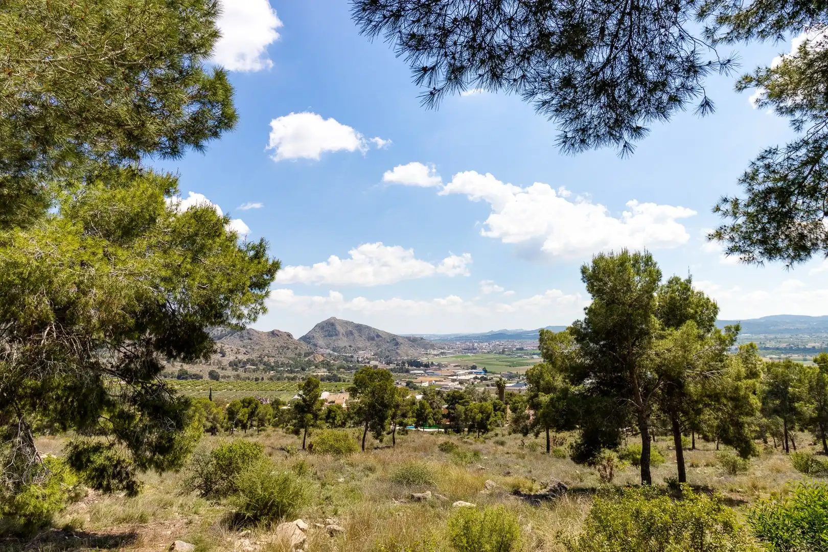 Casa o xalet en venda a Orihuela ciudad