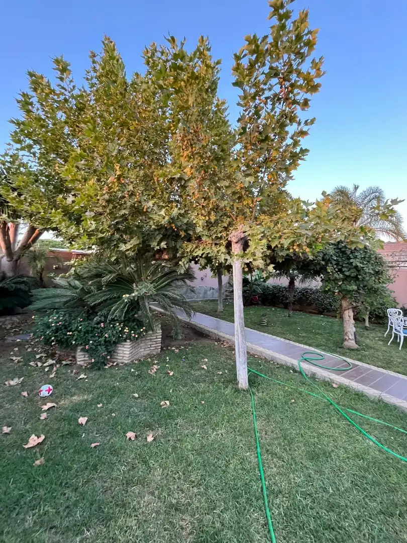Garden of Houses for sale in Chiclana de la Frontera  with Private garden