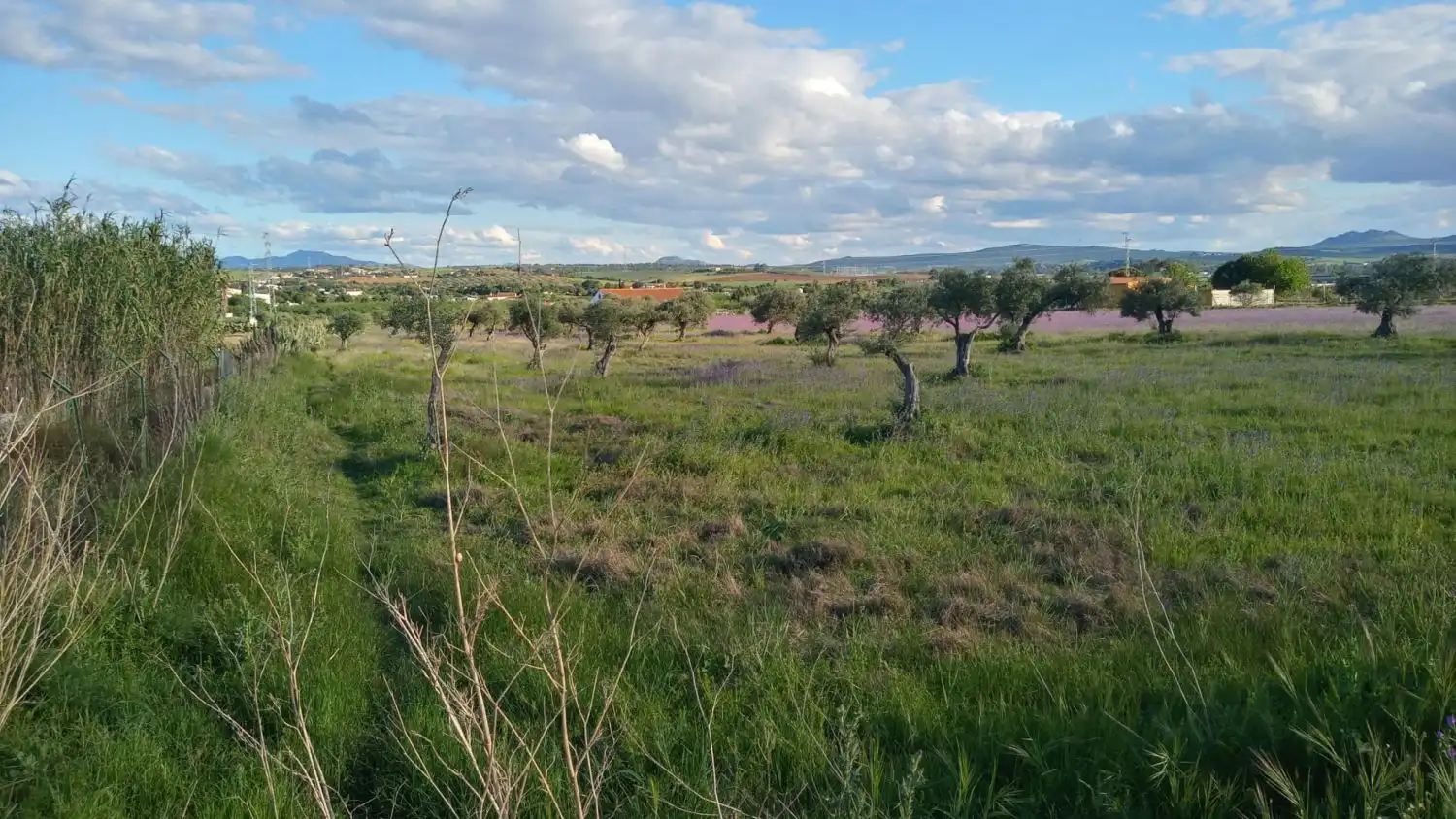 Casa rústica en venda a Sur, imagen 6