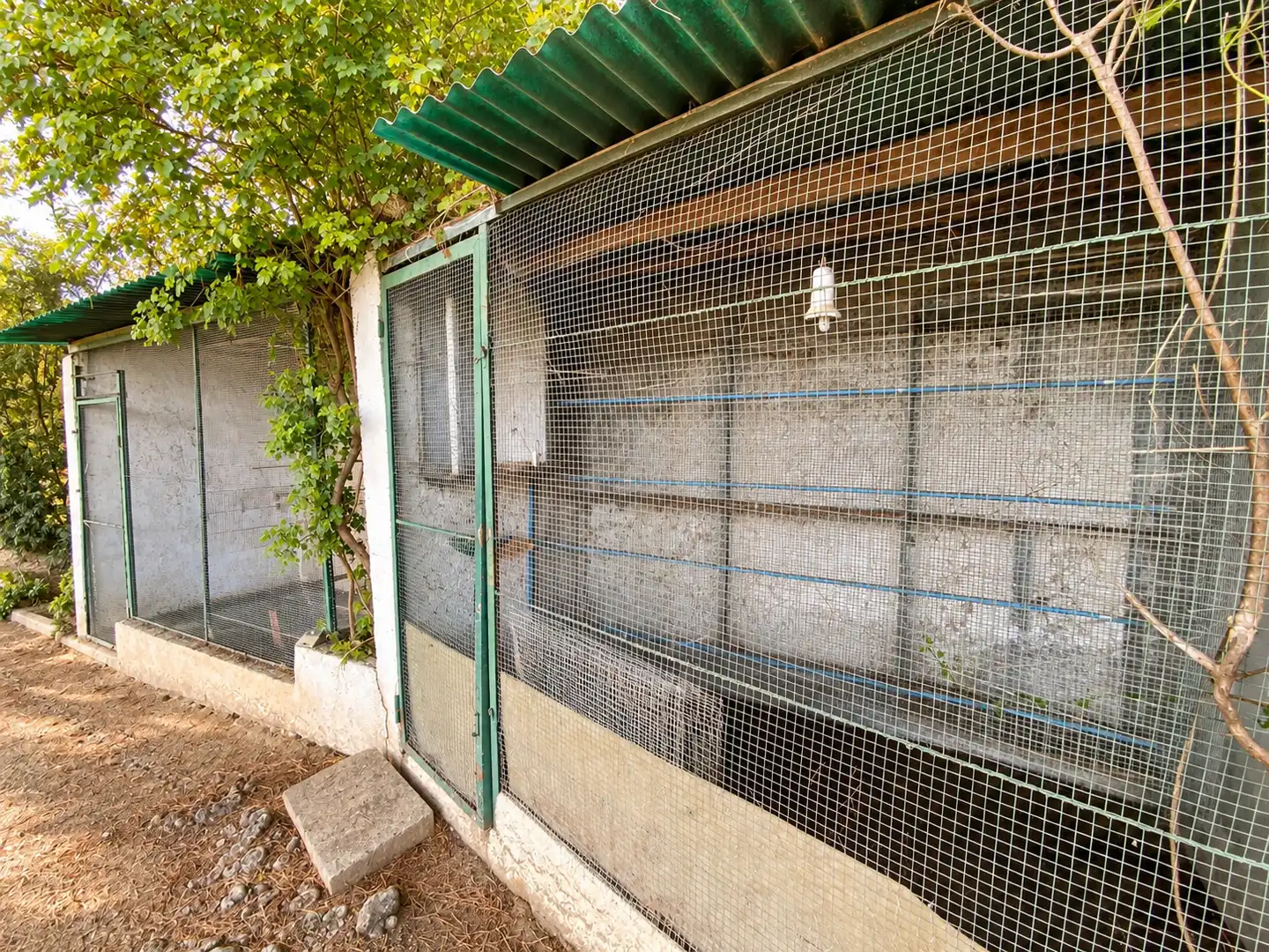 Finca rústica en venda a Canafort - El Puntó