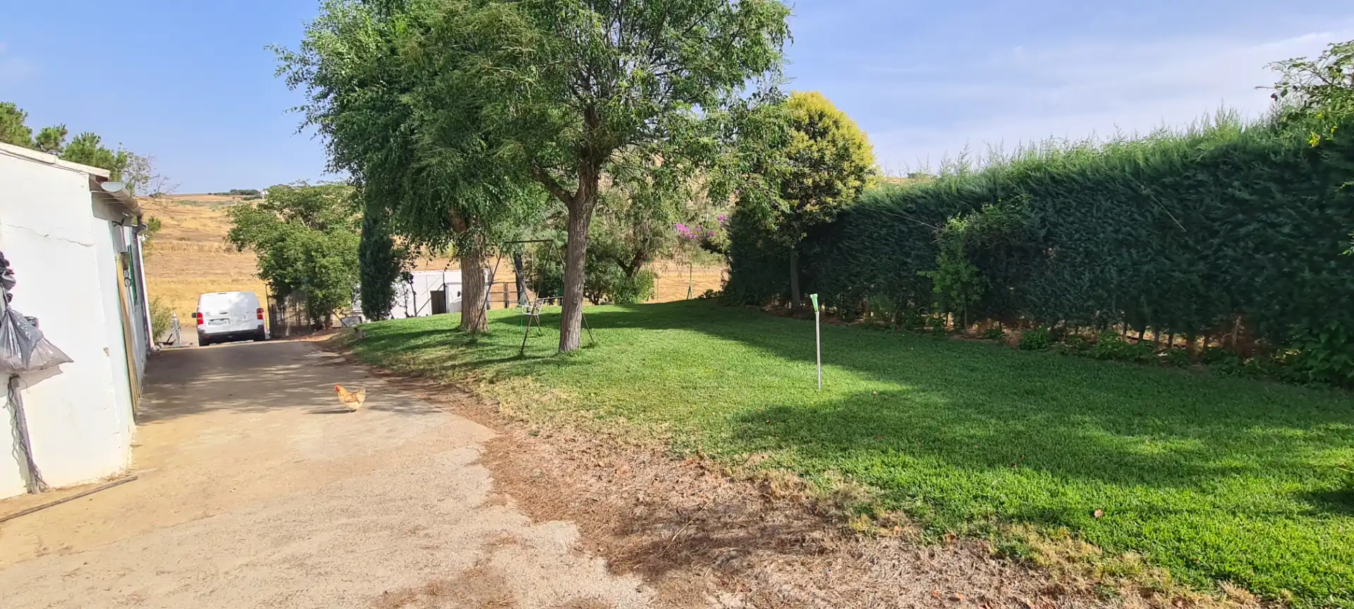 Terreni e lotti in vendita a Azuaga, imagen 8