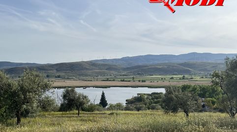 Finca rústica con 575 m2 según catastro ,lindando a camino y cerquita de la carretera Nacional , sembrada de olivos y con acceso c, imatge 5