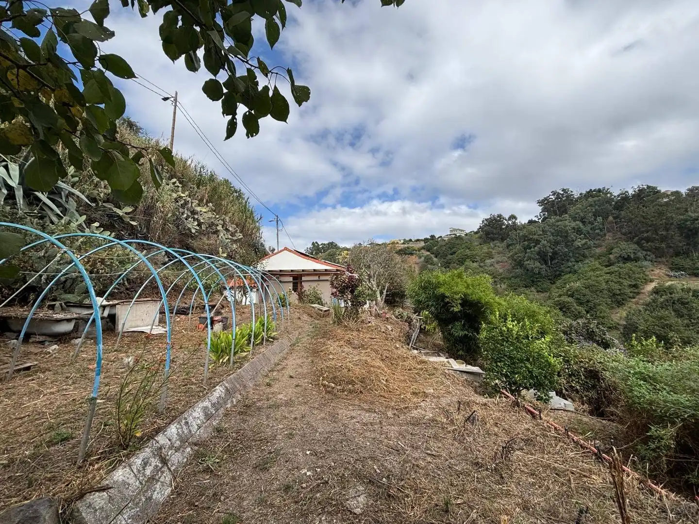 Casa rústica con terraza en venta en Valleseco, imagen 15