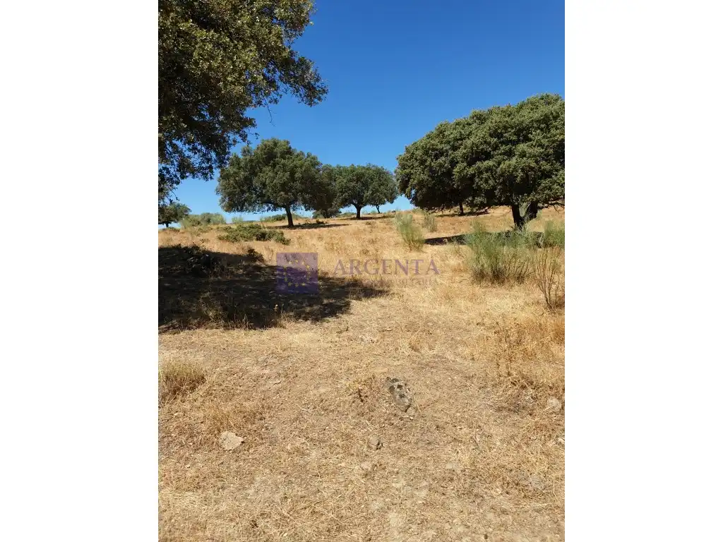 Casa en venta en Poligono 29 Paraje 102 Dehesa De Los Caballos