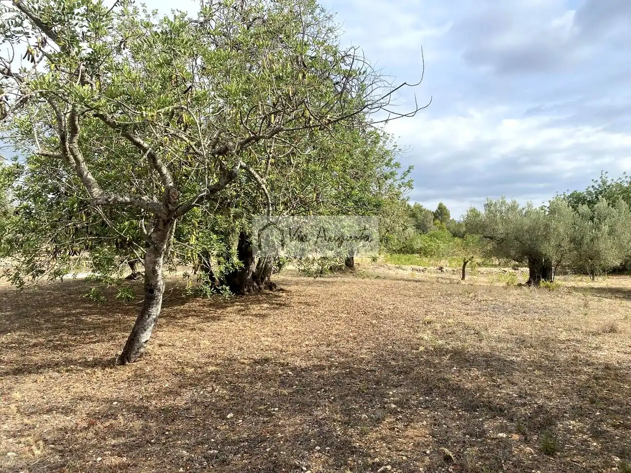 Terreno rustico in vendita a Mas de Baralluga, imagen 8