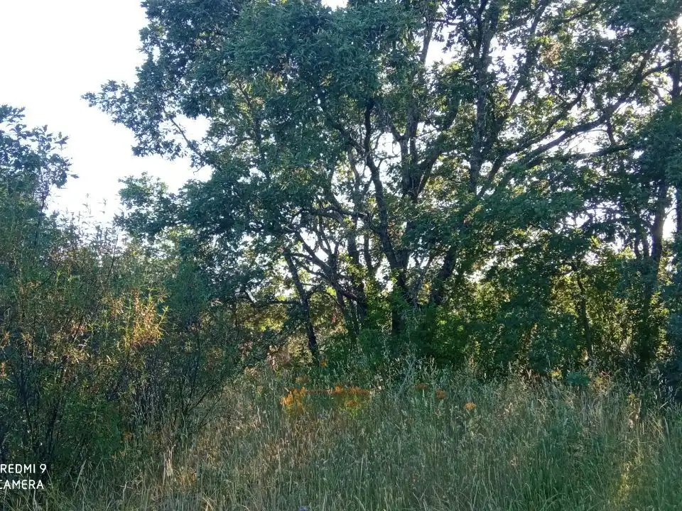 Terreno en venta en Robledillo de la Vera