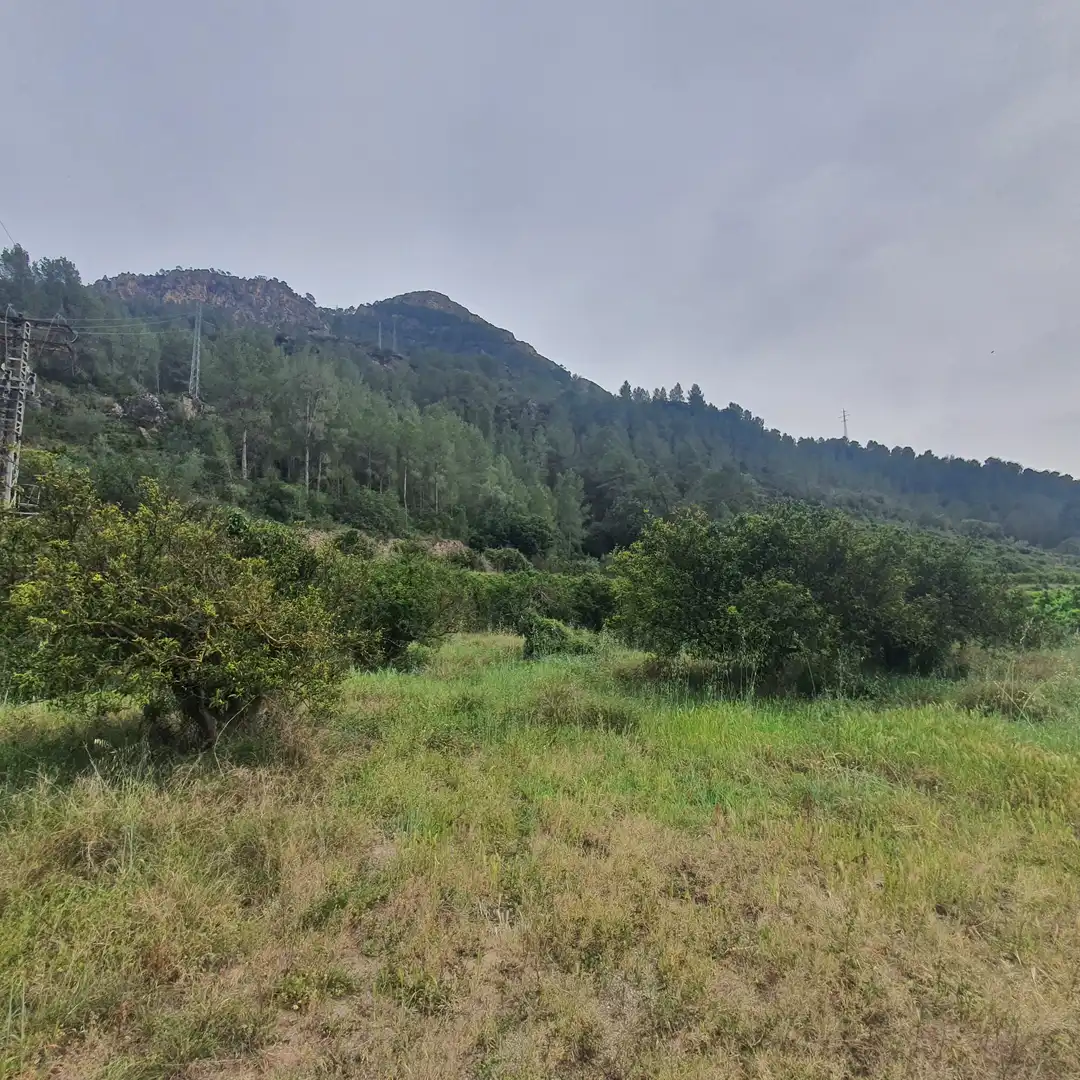 Terreno rústico en venta en Benifallet, imagen 7