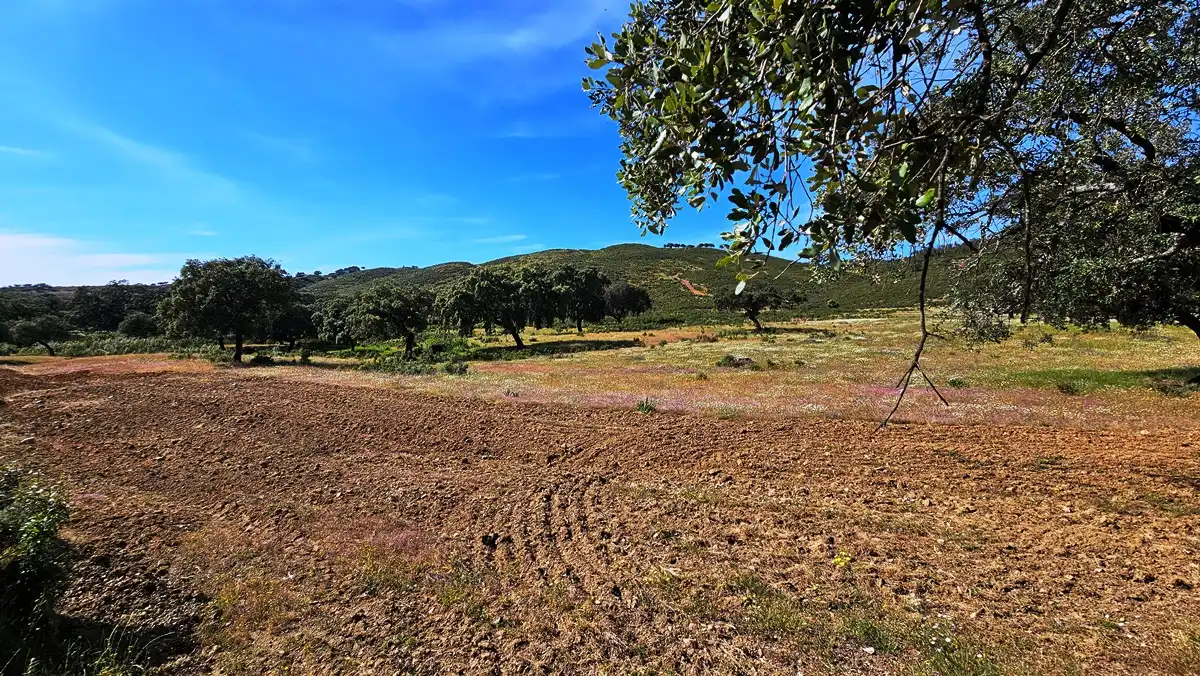 Country homes for sale in Zufre  with Private garden