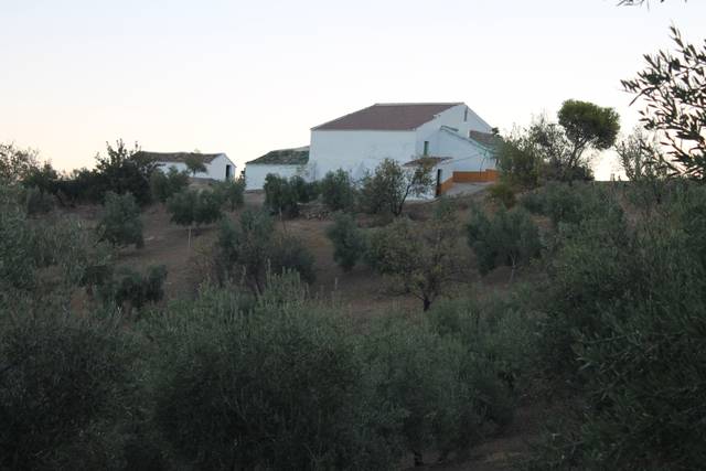 Terreno en Venta en Calle Veterin en El Gastor
