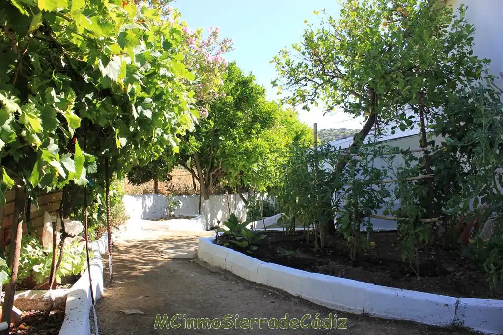Casa o chalet en venta en de Cádiz, Algodonales