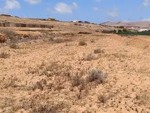 Land for sale in Puerto del Rosario